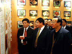 EVO视讯(中文)官方网站